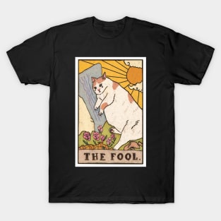 Sad Cat Meme The Fool Tarot T-Shirt